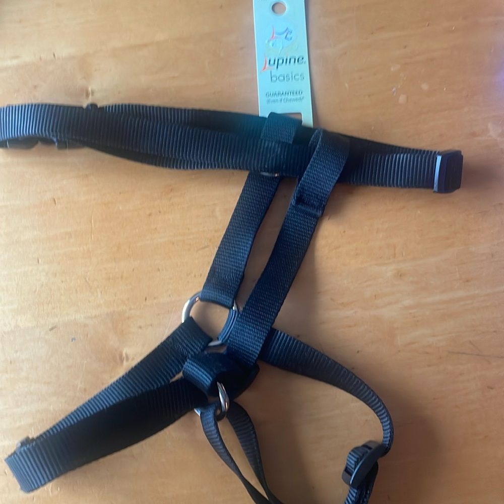 Lupine Roman Harness 3/4in 20-32”